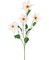 De Kunstclematis Real Touch Roze/crème 88cm heeft een enkele groene steel met vier bloeiende lichtroze bloemen met een zacht geeloranje hart en verschillende groene bladeren, allemaal geïsoleerd op een witte achtergrond.