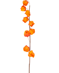 Kunstbloem Physalis Lampion 90 cm oranje