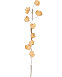 Kunstbloem Physalis Lampion 90 cm bruin
