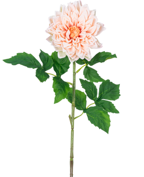 De Kunst Georgine Real Touch Lichtroze 70cm heeft een enkele lichtroze dahlia met gelaagde bloemblaadjes en een geel hart op een lange groene steel met verschillende grote, gekartelde groene bladeren.