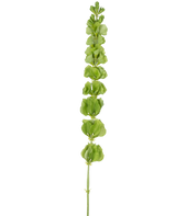De Kunstbloem Klokjes uit Ierland 98 cm heeft een enkele rechtopstaande groene stengel met meerdere ronde groene bladeren of schutbladeren die gelijkmatig over de lengte verdeeld zijn, op een effen witte achtergrond.