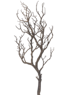 De Kunst decoratie tak 89 cm heeft een boom zonder bladeren met vele dunne, kronkelende takken tegen een effen witte achtergrond.