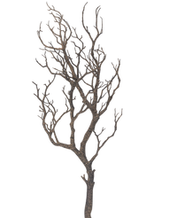Kunst decoratie tak 89 cm