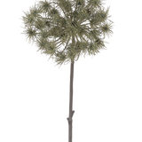 De Kunstbloem Berenklauw 100 cm is een enkele kunststengel met trosjes piekerige, groengrijze bloemhoofdjes, rechtopstaand tegen een effen witte achtergrond.