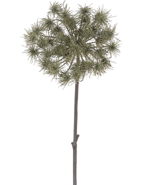 De Kunstbloem Berenklauw 100 cm is een enkele kunststengel met trosjes piekerige, groengrijze bloemhoofdjes, rechtopstaand tegen een effen witte achtergrond.