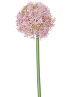 Een enkele hoge paarse stengel van de Kunstbloem Allium Groot 80 cm, met daarop een grote, ronde tros kleine stervormige bloemen, afgebeeld op een witte achtergrond.