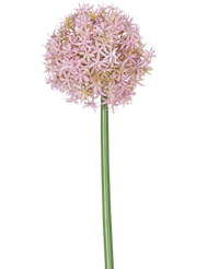 Kunstbloem Allium Groot 80 cm paars