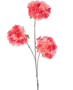 Op een enkele dunne bruine steel van de Kunsttak Kersenbloesem 85 cm koraal staan drie trossen levendige roze en koraal kersenbloesems met groene blaadjes, tegen een effen witte achtergrond.