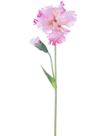 De Kunstbloem Iris 80 cm roze heeft een enkele roze irisstengel met ruches in de bloemblaadjes en een gesloten knop, tegen een effen witte achtergrond.