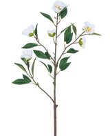De Kunstbloem Camellia 80 cm wit heeft een enkele tak met meerdere groene bladeren en meerdere bloeiende witte bloemen tegen een effen witte achtergrond.