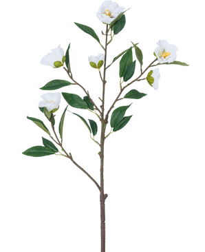 De Kunstbloem Camellia 80 cm wit heeft een enkele tak met meerdere groene bladeren en meerdere bloeiende witte bloemen tegen een effen witte achtergrond.