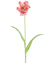 Kunstbloem Franse Parkiet Tulp 76 cm rood/geel