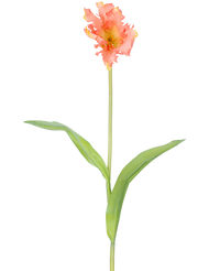 Kunstbloem Franse Parkiet Tulp 76 cm koraal