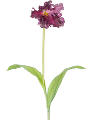 Kunstbloem Franse Parkiet Tulp 76 cm paars