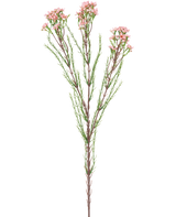 De Kunsttak Waxflower 78 cm roze heeft een enkele steel met dunne groene blaadjes en verschillende trosjes kleine, lichtroze bloemen aan de bovenkant, tegen een witte achtergrond.