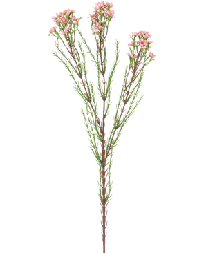 De Kunsttak Waxflower 78 cm roze heeft een enkele steel met dunne groene blaadjes en verschillende trosjes kleine, lichtroze bloemen aan de bovenkant, tegen een witte achtergrond.