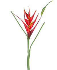Kunstbloem Heliconia 90 cm rood