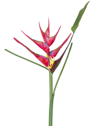Kunstbloem Heliconia 90 cm fuchsia