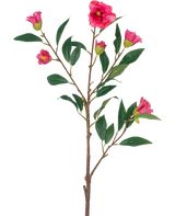 De Kunstbloem Camellia 80 cm roze is een enkele stengel met meerdere takken, groene bladeren en verschillende felroze bloemen en knoppen, geïsoleerd op een witte achtergrond.