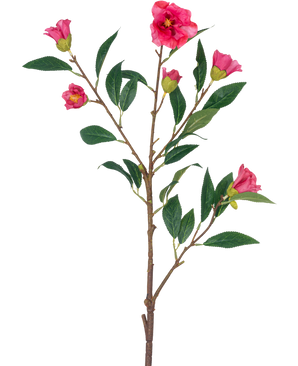 De Kunstbloem Camellia 80 cm roze is een enkele stengel met meerdere takken, groene bladeren en verschillende felroze bloemen en knoppen, geïsoleerd op een witte achtergrond.
