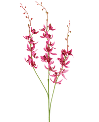 Kunstbloem Cymbidium 95 cm bordeaux