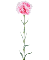 Kunstbloem Carnation 68 cm roze