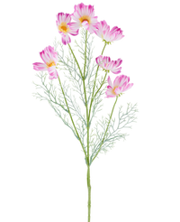 Kunstbloem Cosmo 78 cm creme/roze