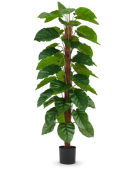 Kunstplant Epipremnum aureum 180 cm