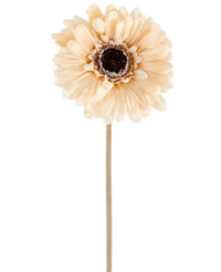 Kunstbloem Gerbera 53 cm creme/bruin