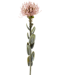 Kunstbloem Protea 61 cm mauve