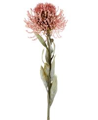 Kunstbloem Protea 60 cm oud roze