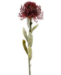 Kunstbloem Protea 60 cm bordeaux