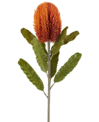 Kunstbloem Banksia 65 cm oud oranje