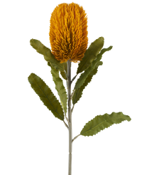 Kunstbloem Banksia 65 cm mosterd