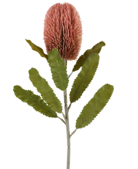 Kunstbloem Banksia 65 cm oud roze