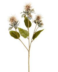 Kunstbloem Saffloer 57 cm creme/bruin