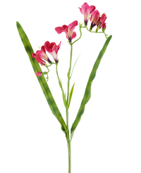 Kunstbloem Freesia 56 cm fuchsia