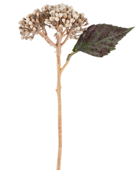 Kunstbloem Gedroogde Hortensia 38 cm creme/bruin