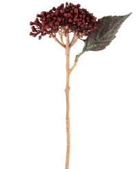 Kunstbloem Gedroogde Hortensia 38 cm bordeaux
