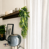 Een moderne woonruimte met een grijze glazen lamp, ingelijste kunst, een potplant en een houten plank met kopjes en de Kunst-hangplant ‘Pannenkoek’ (61 cm), waarvan de ranken naast witte gordijnen hangen.