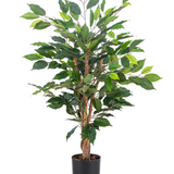De Kunstplant Ficus Groen 90 cm heeft meerdere bruine stelen en weelderige groene bladeren in een eenvoudige zwarte pot - ideaal als stijlvolle kantoorplant.