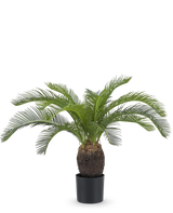 De Kunstplant Baby Cycas Palm 60 cm heeft lange, gebogen groene bladeren en een dikke, bruine stam met textuur, gepresenteerd in een pot tegen een effen witte achtergrond.