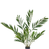 De Kunstpalm Parlour Deluxe 90 cm is een potplant voor binnen met lange, slanke groene bladeren op meerdere stelen, in een eenvoudige zwarte pot tegen een effen witte achtergrond.