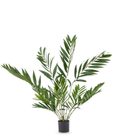 De Kunstpalm Parlour Deluxe 90 cm is een potplant voor binnen met lange, slanke groene bladeren op meerdere stelen, in een eenvoudige zwarte pot tegen een effen witte achtergrond.