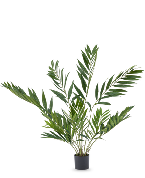 De Kunstpalm Parlour Deluxe 90 cm is een potplant voor binnen met lange, slanke groene bladeren op meerdere stelen, in een eenvoudige zwarte pot tegen een effen witte achtergrond.