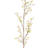De Kunstbloem Verbena 157 cm crème heeft een lange, slanke bruine stengel met kleine trosjes delicate crèmekleurige bloemen en een paar groene blaadjes, tegen een effen witte achtergrond.