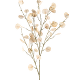 De Kunstbloem Eucalyptus 119 cm crème heeft slanke stelen met ronde, licht crème bladeren tegen een eenvoudige witte achtergrond.