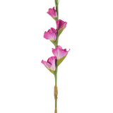 Een enkele stengel Kunstbloem Gladiolen 83 cm fuchsia heeft vier levendige roze bloemen op een groene steel, tegen een effen witte achtergrond.