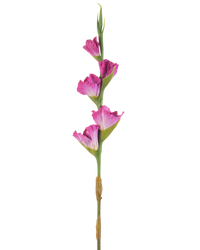 Kunstbloem Gladioli 83 cm fuchsia