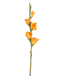 Kunstbloem Gladioli 83 cm oranje